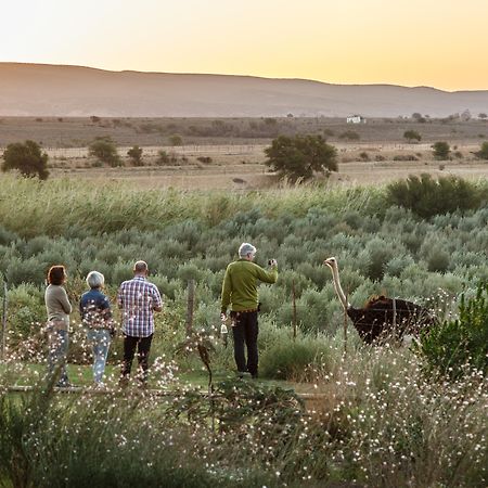 De Denne Country Guest House Oudtshoorn Esterno foto
