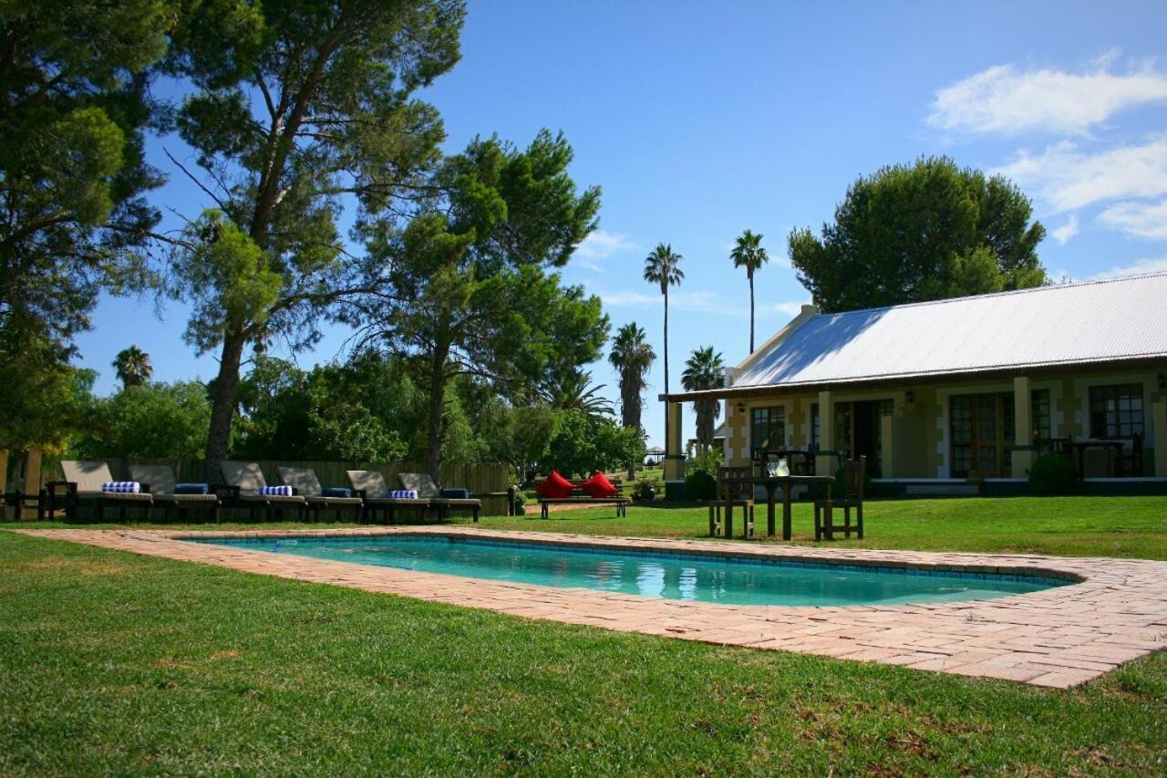 De Denne Country Guest House Oudtshoorn Esterno foto